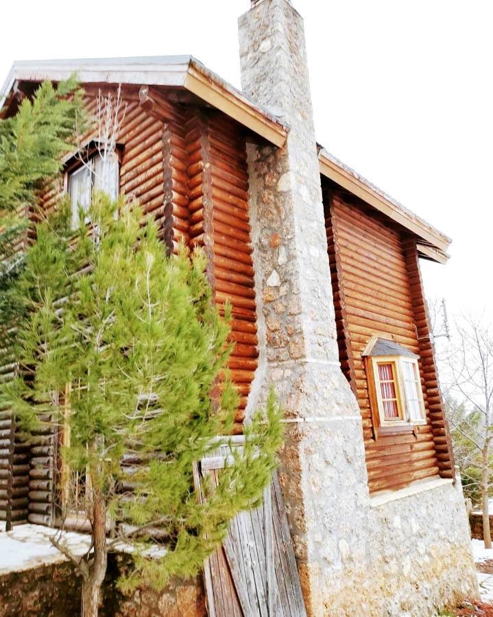 Paradise Chalet アノ・トリカラ エクステリア 写真
