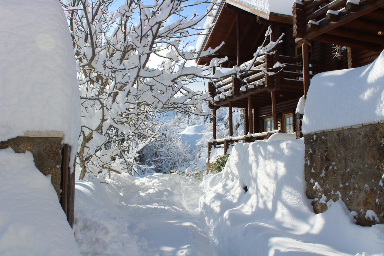 Paradise Chalet アノ・トリカラ エクステリア 写真